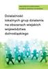 Activities of Local Action Groups On...