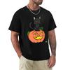 Black Cat & Pumpkin T-Shirt Anime Clothes Oversized Graphic Tee Fitted T Shirts For Men