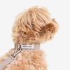 foreverybari leash set (beige)