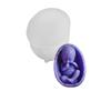 Eggshell Baby Figurine Silicone Candle Molds for Candle Soap Making Epoxy Resin Silicone Molds Gypsum Silicone Molds