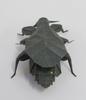 Origami Masters of the World BUGS "Insect War" has changed origami to this extent!