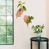 1PC Wall Planters Home Decor Wooden Bohemian Plant Hangers Wall-Mounted Plastic Tube Leaf Shape Hanging Shelf