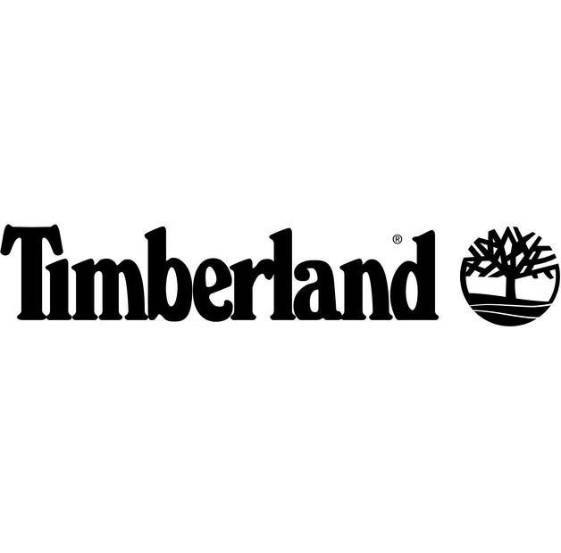 Часы Timberland TBL.TDWGF2102603