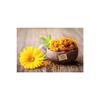 Auntie Sevin Calendula Flower, Orange Narcissus, Pol Marigold, Calendula Officinalis, 40grams.