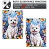 Stand Case for iPad 9.7-inch (2018)/(2017)/Air 2/Air (2013) Pattern Printing Tablet Leather Cover with Auto Wake/Sleep