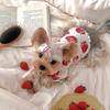 Pet Spring Strawberry Base Vest Cat and Puppy Home Base Shirt Strawberry Printed T-shirt Pet Clothes Cute Small Dog