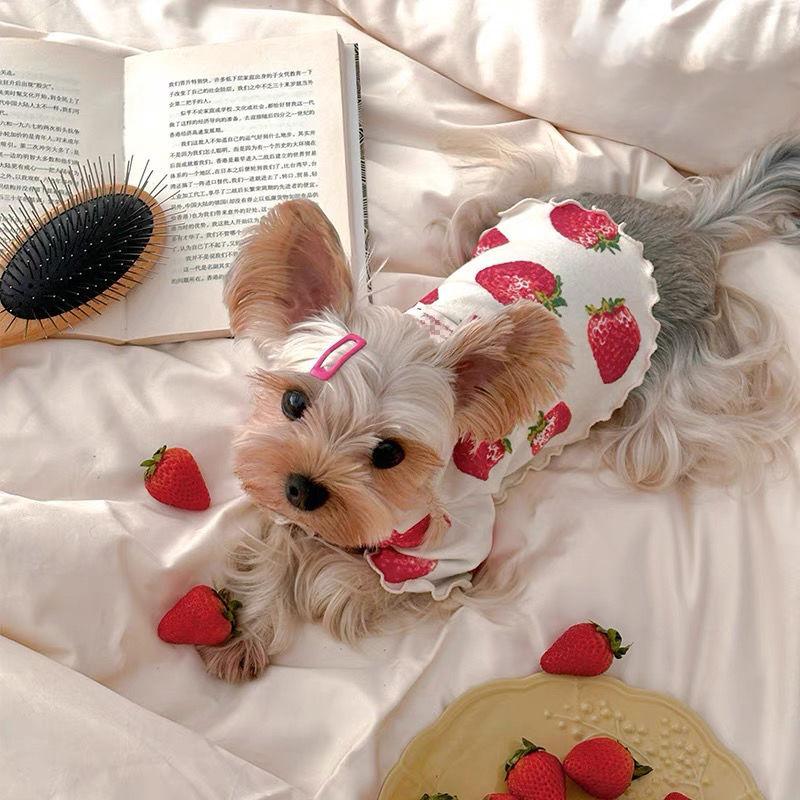 Pet Spring Strawberry Base Vest Cat and Puppy Home Base Shirt Strawberry Printed T-shirt Pet Clothes Cute Small Dog