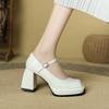 High Heels Women's 2025 New Temperament Celebrity Waterproof Table French Thick Heel Square Head Mary Jane Shoes One-word Buckle Belt