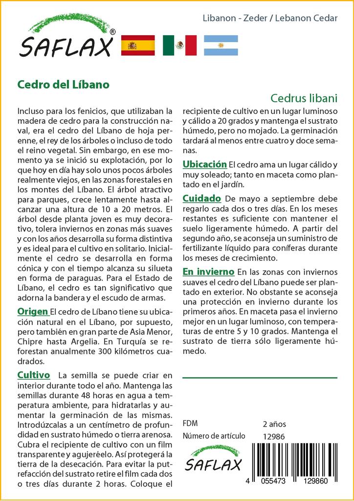 SAFLAX Ливанский кедр - 20 семян - Cedrus libani