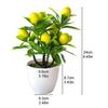 With Basin Artificial Lemon Tree Artificial Potted Flowers False Plant KTY