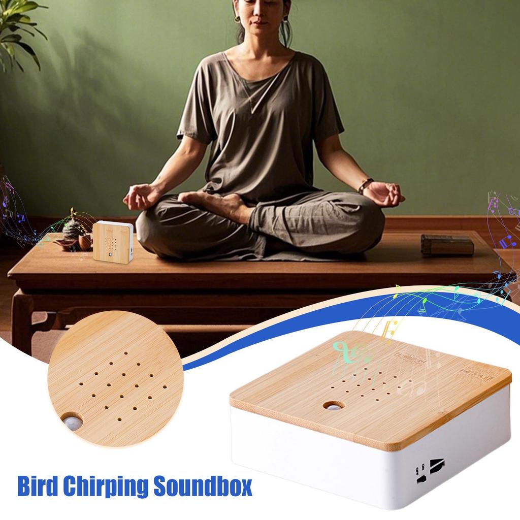 Bird Chirping Sound Box Indoor Ambient Noise Portable Table/Wall Mount Bird Singing Machine for Living Room Bedroom Garden Patio