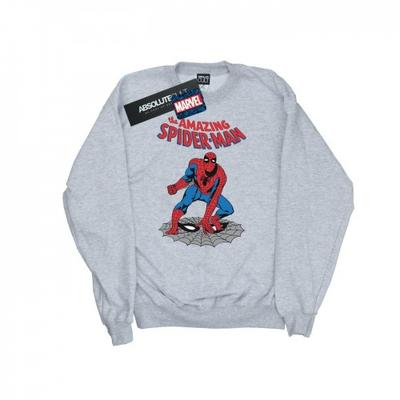 Мужская толстовка The Amazing Spider-Man