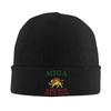 Шапки-бини с вязаным рисунком "Лев и Солнце" (Эмблема флага) Женские Мужские Осень Зима Акриловые Теплые Шапки