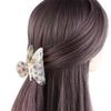 Acrylic Hair Claw Clip Korean Style Acrylic Shark Clip Simple Flower Hair Claw  Girl