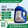 Ryanpingan Plant Rooting & Growth Regulator