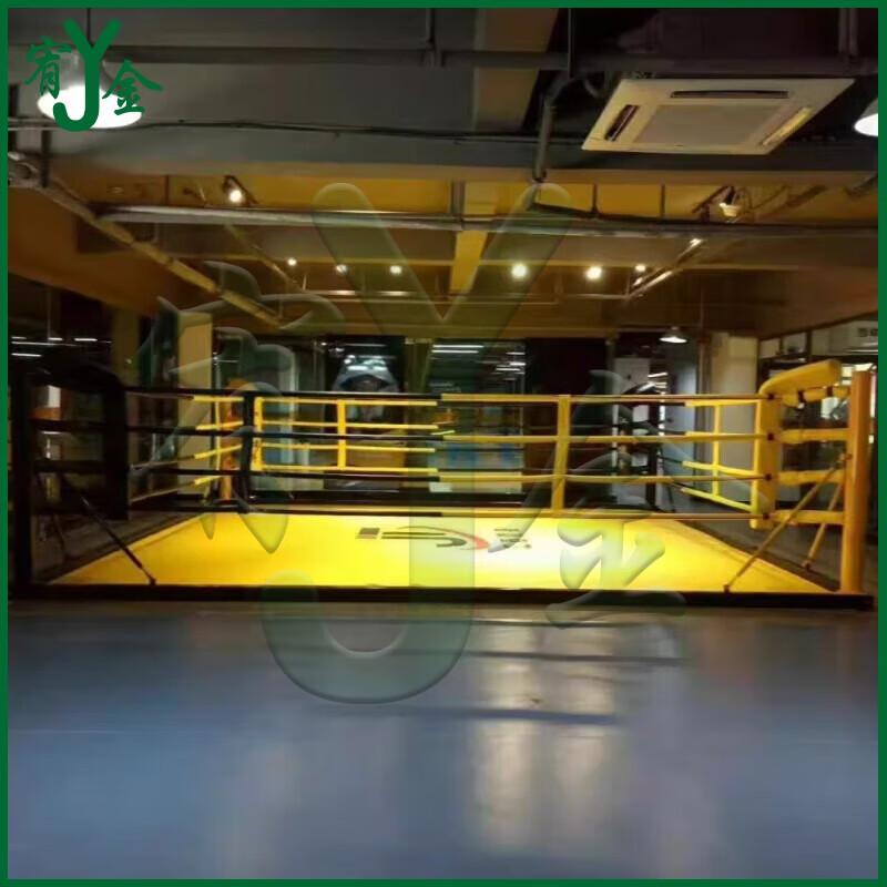 Youjin Professional Boxing & MMA Ring