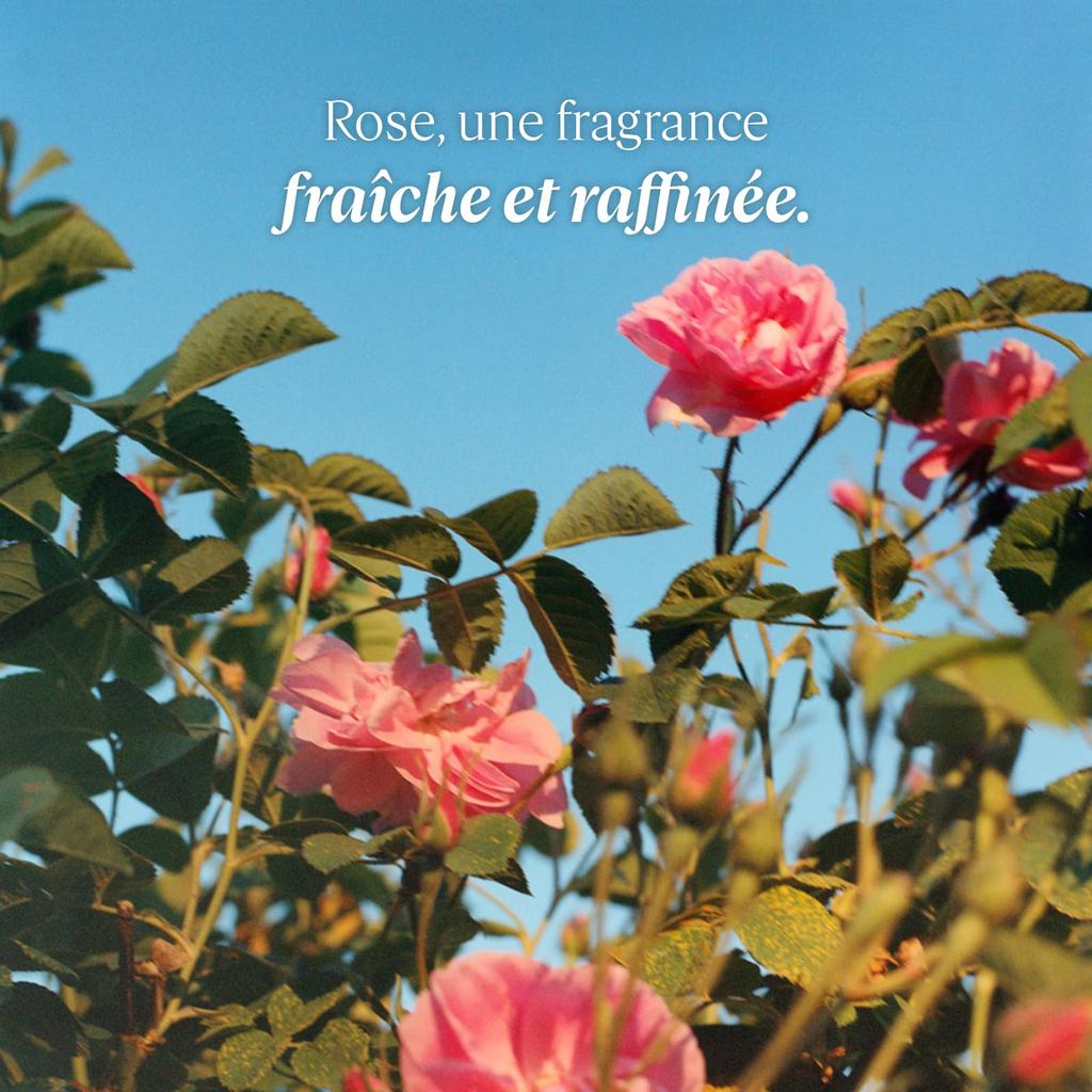 Rose Hand Moisturizing for Dry Popular for Men and Rose Hand Care L'OCCITANE Cream, 30mL, Skin, Women,