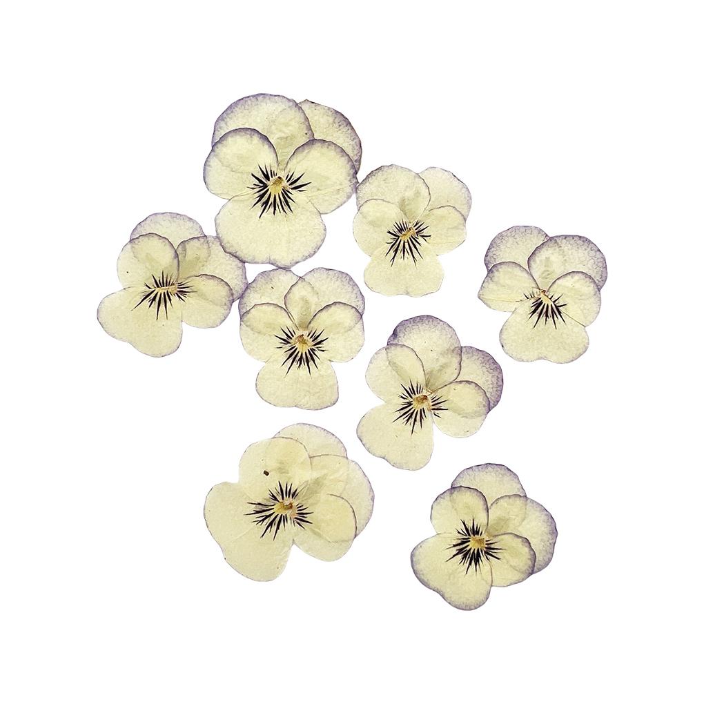 12 предметов Crafts Simple Style Make Accessories Украшение для макияжа Прессованные цветы Craft Jewelry Decor Accessories