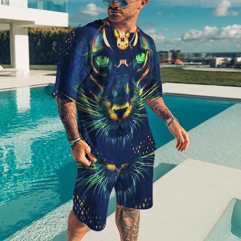 Мужские комплекты футболок, спортивный костюм с 3D принтом животного тигра, футболки, шорты, комплект из 2 предметов, уличная одежда, мужские костюмы больших размеров, спортивная одежда