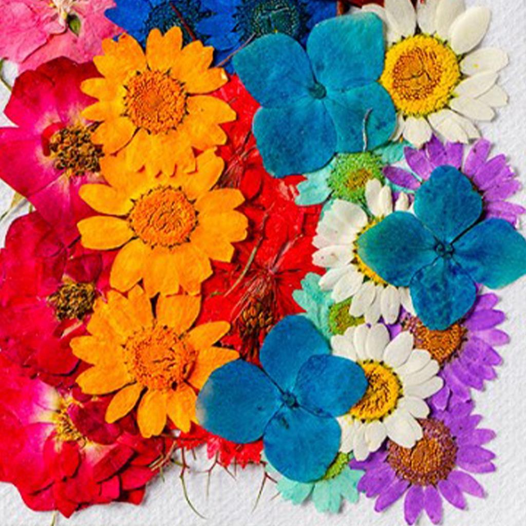 36 шт. Сушеные цветы в ассортименте стилей и цветов, натуральный материал, многоцелевые головки сушеных цветов для