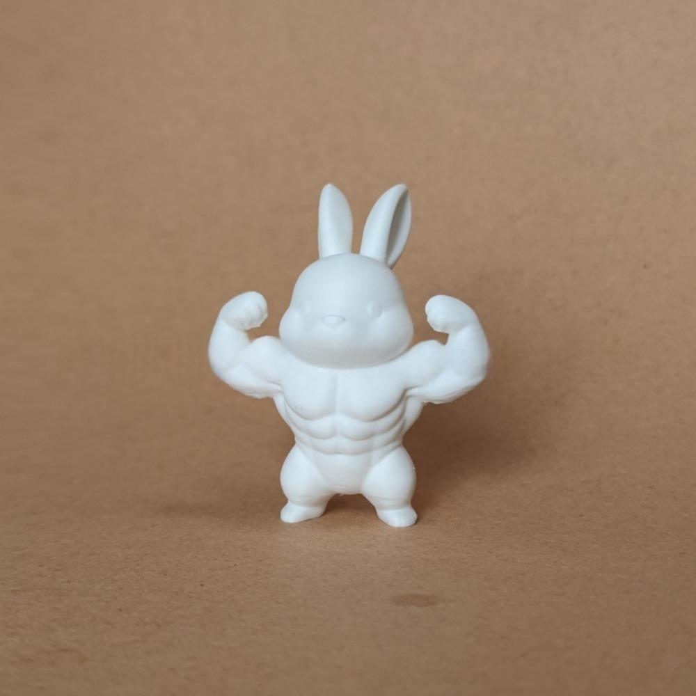 Cute Easter Fitness Rabbit Funny Plastic Muscular Rabbit Statue  Collectors Realistic Small Rabbit Ornament Home Desk Decor