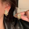 Jewelry Personality Firework Flowers Earrings Metal Copper Inlaid Zircon Earrings For Women
