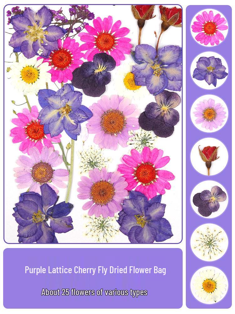 Autumn Collection: Handmade Transparent Specimen Bottles with Dried Flowers and DIY Bookmark Lamination Film for Students.