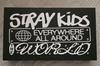 [Б/У] Straykids Accessory Edition BOX SLBS