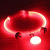 Adjustable Size LED Dog Collar Fiber Optic Material Multi-Color Light USB Rechargeable Collar Bright LED PVC Material