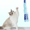 Забавные игрушки для домашних животных, интерактивные игрушки для кошек, игрушки-палочки для кошек, гусеница, котенок, игровые игрушки, аксессуары для домашних животных