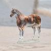 Equine Figurine Tabletop Decor Animal Sculpture for Bedroom Desk Shelf Home Accent