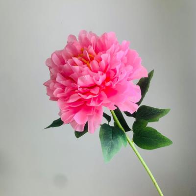 Богатый пион, одиночная головка, искусственный шелковый цветок для украшения гостиной и настольной экспозиции
