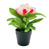 Artificial Potted Peony Flower Home Office Living Room Table Centerpiece Wedding Faux