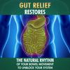 Vansaar Gut Relief Порошок без сахара 100 г | Аюрведическое средство для очищения желудка при запорах, газах, вздутии живота | Не вызывает привыкания, натуральная поддержка пищеварения