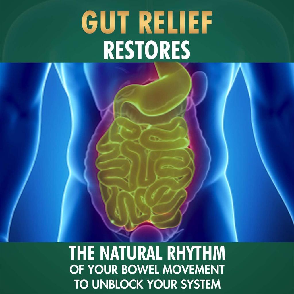 Vansaar Gut Relief Порошок без сахара 100 г | Аюрведическое средство для очищения желудка при запорах, газах, вздутии живота | Не вызывает привыкания, натуральная поддержка пищеварения