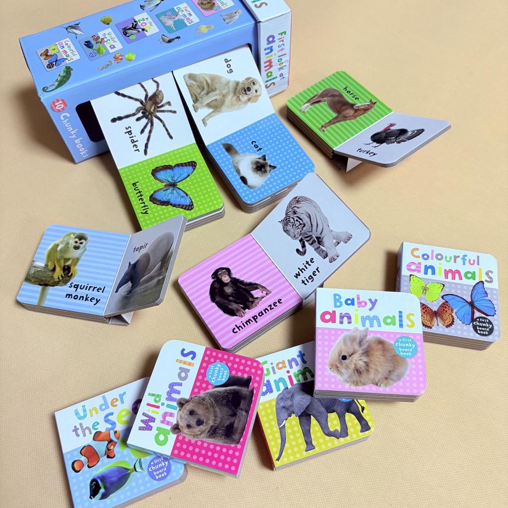 Genuine English mini portable set of 10 volumes First words children's word learning enlightenment cognition