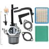 697978 591378 Carburetor, Compatible with Briggs & Stratton and Nikki 695115 030430 695114, Suitable for Coleman Powermate 5000 6250, Storm Responder