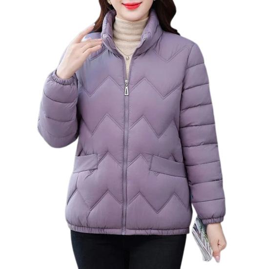 Пальто с хлопковой подкладкой, воротником-стойкой, длинными рукавами, застежкой-молнией, теплая зимняя куртка с карманами, однотонная утолщенная стеганая верхняя одежда