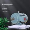Anhui Wannan TYCP Series Three-Phase Variable Frequency Permanent Magnet Synchronous Motor