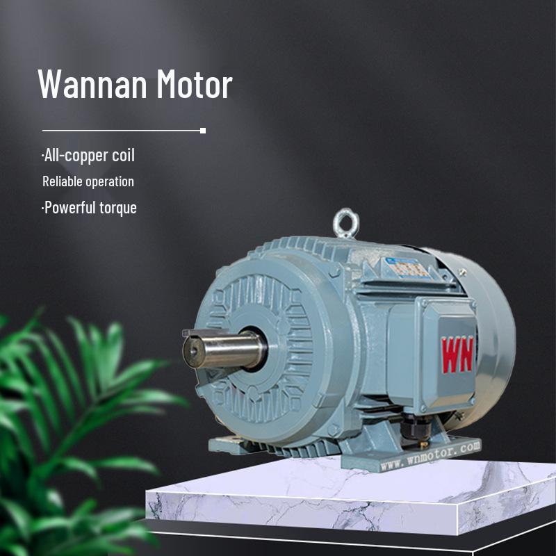 Anhui Wannan TYCP Series Three-Phase Variable Frequency Permanent Magnet Synchronous Motor