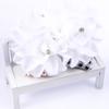 Orchid Flower White Fashion Hair Clip Hair Accessories Wedding Summer