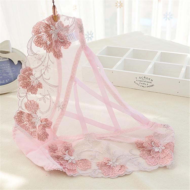 Women Sexy Hollow Briefs Mesh Transparent Underpants Underwear Lace Embroidery Panties Bandage Erotic Briefs Lingeire