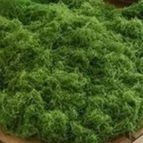 Искусственный мох, шелковистая трава, газон для ландшафтного дизайна и декора