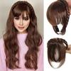 LISI HAIR 1pc Elegant Women's Clip-In Synthetic Bangs With Braid Design Fiber Hair  For Women Accessories