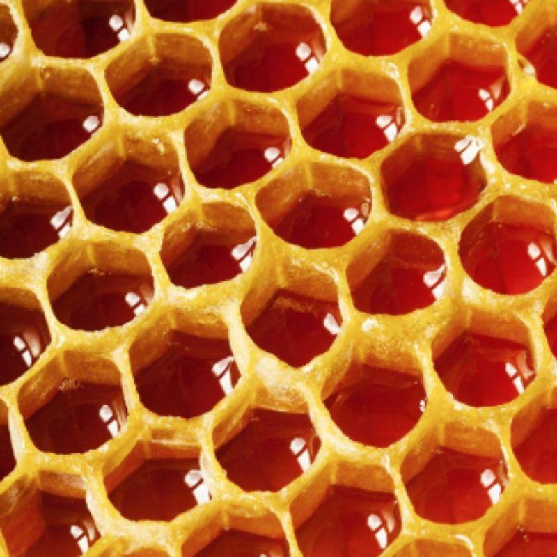 DERMA FACTORY EDLP Прополисная ампула, 1 шт., 50 мл