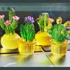 4pcs/set Transparent Cactus Bonsai Decor Resin Mini Cactus Figurines Succulent Plants Car Computer Decoration Ornaments Crafts