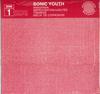 Виниловая пластинка SONIC YOUTH - Anagrama SYR1 SONIC YOUTH 1997 США Рок