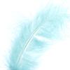 Cat Toy Star Ball Plus Feather Eva Light Foam Ball Throwing Funny Interactive