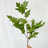 Тематические Искусственные Зеленые Цветочные Материалы Свадебное Украшение Домашний Реквизит для Съемки