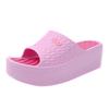 Sagit Thick Soles Fashion Women Summer Sandals Platform Shoes Beach Hole Shoes